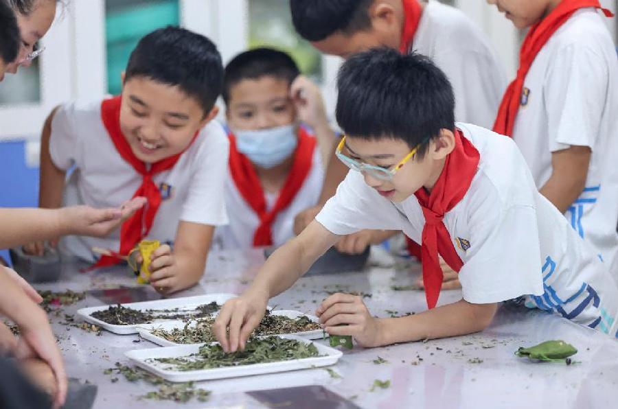 “端午艾飘香”活动